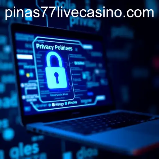 Understanding Privacy Policies: The Case of pinas77